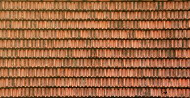 Close up of red terracotta roof shingles with some mildew. Background texture of roofing material photo