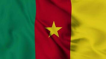 Kameroen golvend vlag realistisch animatie video