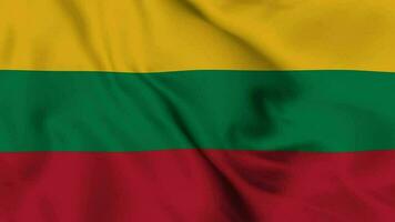 Lithuania Waving Flag Realistic Animation Video