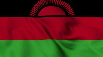 malawi ondulación bandera realista animación vídeo video