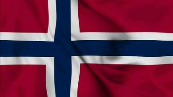 Norge vinka flagga realistisk animering video