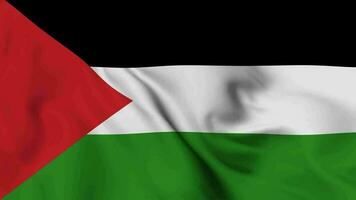 Palestine Waving Flag Realistic Animation Video