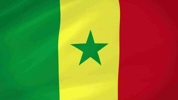 Senegal ondulación bandera realista animación vídeo video