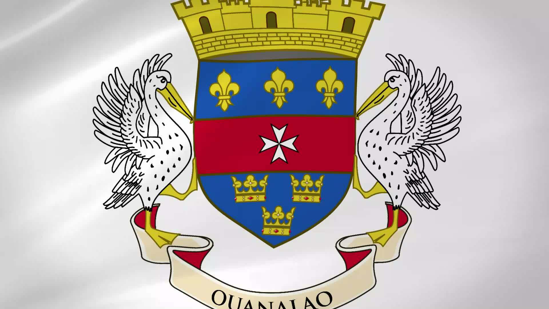 Saint Barthelemy Waving Flag Realistic Animation Video 33671436 Stock