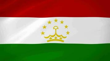 tajiquistão acenando bandeira realista animação vídeo video