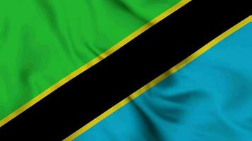 Tanzania Waving Flag Realistic Animation Video