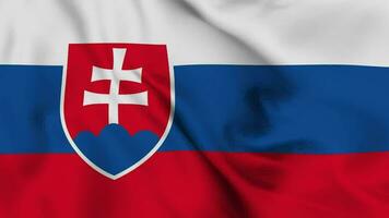 slovacchia agitando bandiera realistico animazione video