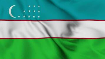 Uzbekistan Waving Flag Realistic Animation Video