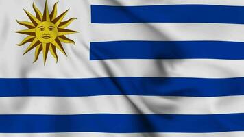 Uruguay Waving Flag Realistic Animation Video