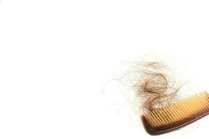 Hair loss in comb, hair fall everyday serious problem, on white background. photo