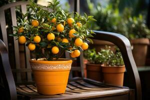 orange tree in a pot AI Generated photo