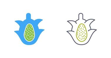 icono de vector de fruta de dragón