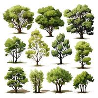 Set of trees water color isolated on white background generative Ai. photo