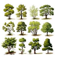 Set of trees water color isolated on white background generative Ai. photo