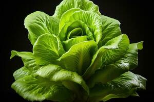 photos of lettuce ready to serve in indoor studio AI Generated