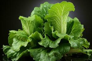 photos of lettuce ready to serve in indoor studio AI Generated