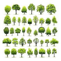 Set of trees water color isolated on white background generative Ai. photo