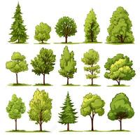 Set of trees water color isolated on white background generative Ai. photo