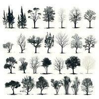 Set of trees silhouettes isolated on white background generative Ai. photo