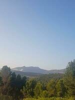 hojas perennes bosques y montañoso paisajes foto