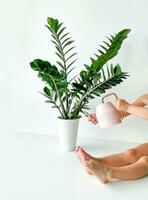 Cropped shot of childrens hands and feet watering home plant in flower pot photo