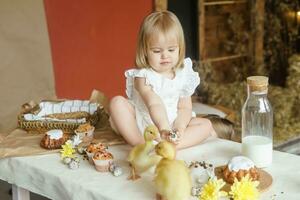 A little girl is sitting on the Easter table and playing with cute fluffy ducklings. The concept of celebrating happy Easter. photo