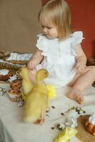 un pequeño niña es sentado en el Pascua de Resurrección mesa y jugando con linda mullido patitos el concepto de celebrando contento Pascua de Resurrección. foto