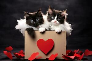 dos gatitos sentado en un caja con corazones en un de madera fondo, dos negro y blanco gatitos en un cartulina caja con rojo corazones, ai generado foto