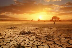 Dry soil and tree in the desert at sunset, global warming concept, drought land and hot weather, AI Generated photo