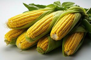 photos of corn in indoor photo studio AI Generated