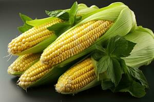 photos of corn in indoor photo studio AI Generated