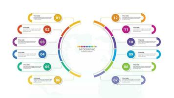 Infographic with 12 steps, process or options. vector