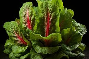 photos of lettuce ready to serve in indoor studio AI Generated