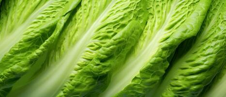 Macro shot of Chinese cabbage leaves. AI Generative photo