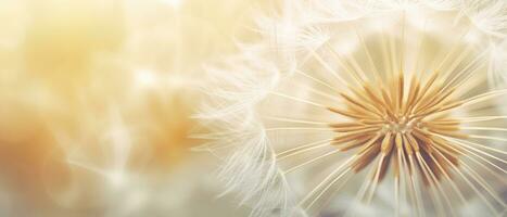Macro shot of a dandelion highlighting its soft. AI Generative photo