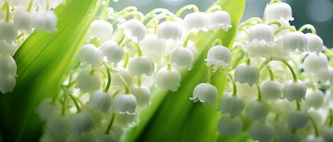 Soft focus macro view of a Lily-of-the-valley bloom. AI Generative photo