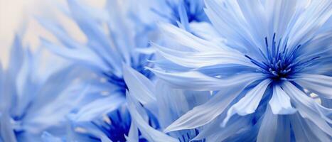 Detailed close-up of Cornflower petals. AI Generative photo