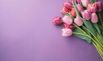 Graceful purple tulips on a delicate pink hue. AI Generative photo