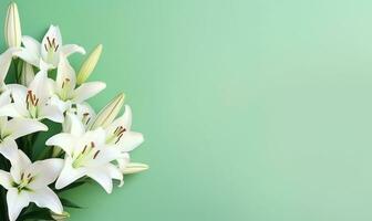 Harmonious display of opened and budding white lilies. AI Generative photo