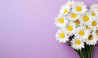 Floral composition with daisies and tiny white flowers. AI Generative photo