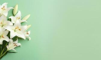 Harmonious display of opened and budding white lilies. AI Generative photo