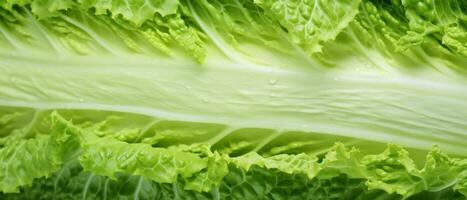 Macro shot of Chinese cabbage leaves. AI Generative photo