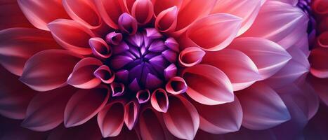 Close-up macro capture of a dahlia flower. AI Generative photo