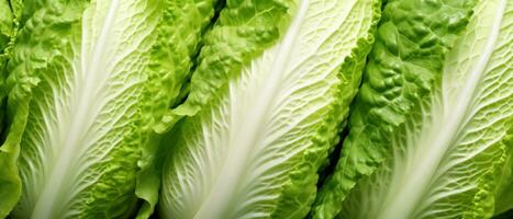 Macro shot of Chinese cabbage leaves. AI Generative photo