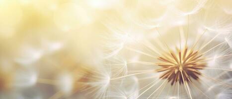Macro shot of a dandelion highlighting its soft. AI Generative photo