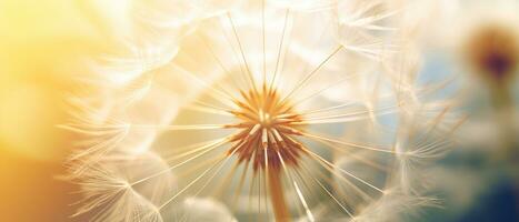 Macro shot of a dandelion highlighting its soft. AI Generative photo