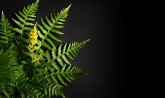 Vibrant green ferns showcased. AI Generative photo