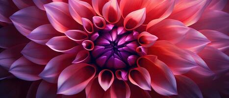 Close-up macro capture of a dahlia flower. AI Generative photo