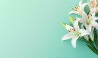 Harmonious display of opened and budding white lilies. AI Generative photo