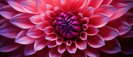 Close-up macro capture of a dahlia flower. AI Generative photo